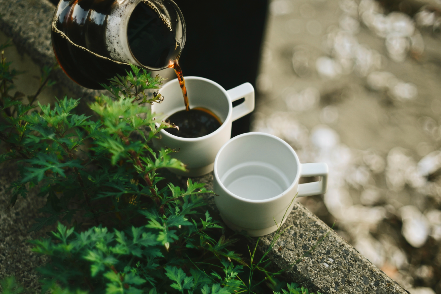 Living Room & coffee